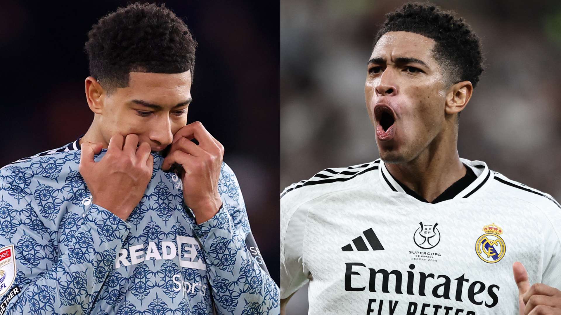 可以为引进 可以为引进